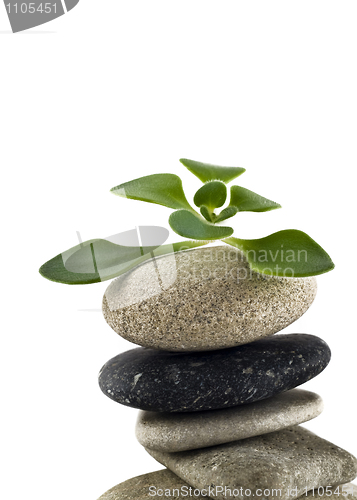 Image of Green Life - closeup of balanced stone tower with plant