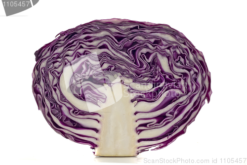 Image of Vegetables and vegetarian - purple cabbage 