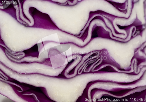 Image of Cabbage - extreme closeup