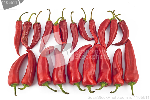 Image of Red hot paprika 