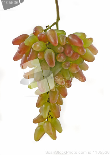 Image of Bunch of beautiful green and red grapes