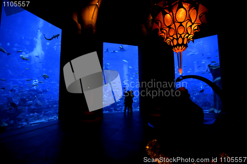 Image of Aquarium