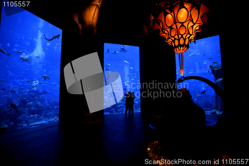 Image of Aquarium