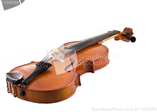 Image of Beautiful violin isolated