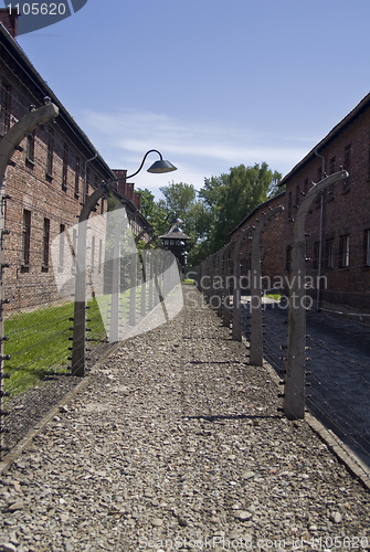 Image of Wire fence in Auschwitz concentration camp