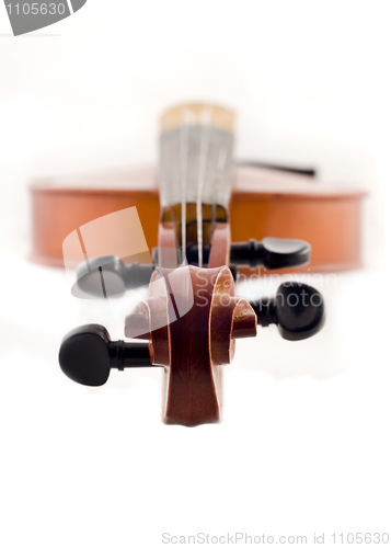 Image of Beautiful violin top view