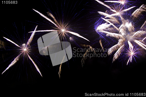 Image of Fireworks in black sky 