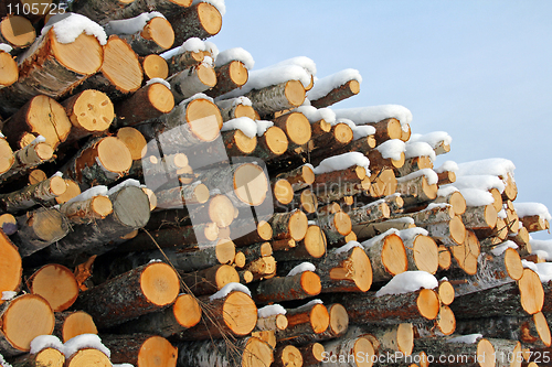 Image of Pile of Wooden Logs in Winter