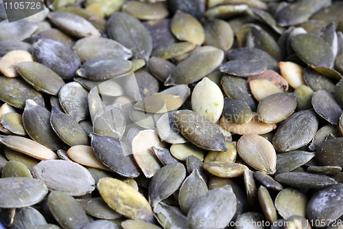 Image of Pumpkin Seeds