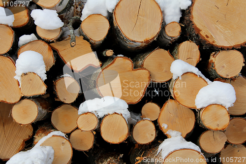 Image of Birch Logs Background