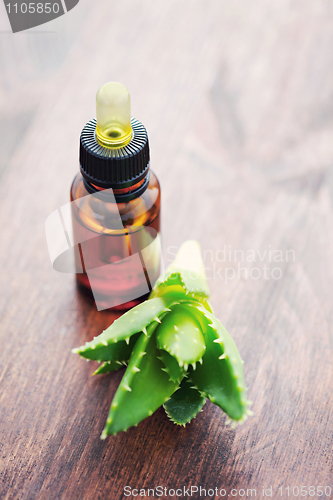 Image of aloe vera essential oil