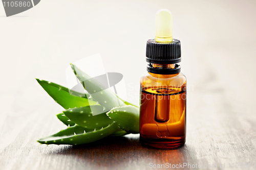 Image of aloe vera essential oil