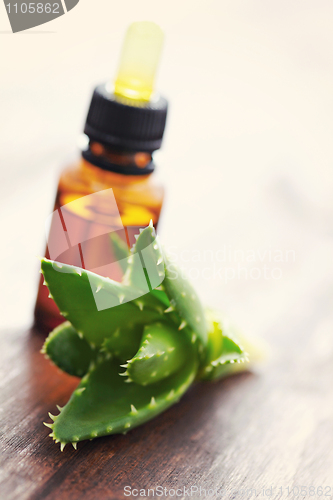 Image of aloe vera essential oil