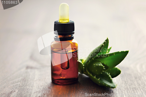 Image of aloe vera essential oil