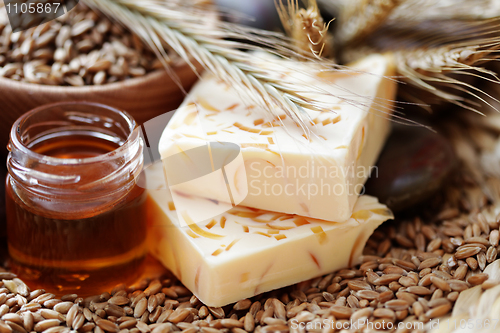 Image of honey and wheat soap