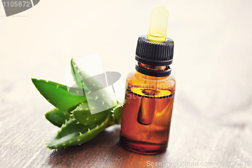 Image of aloe vera essential oil