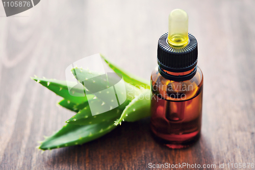 Image of aloe vera essential oil