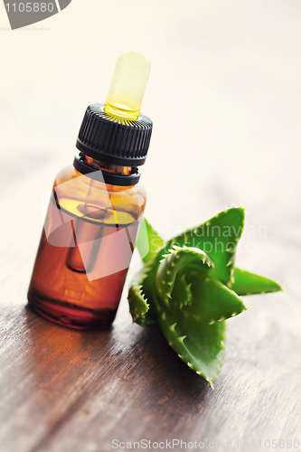 Image of aloe vera essential oil