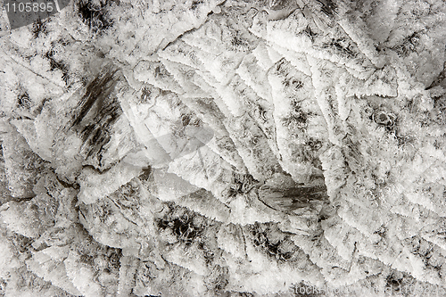 Image of Ice