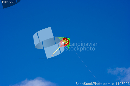 Image of Kite