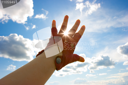 Image of Hand in a glove