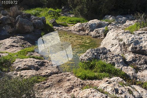 Image of Puddle covered with green algae among rocks