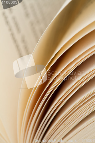 Image of Paper pages