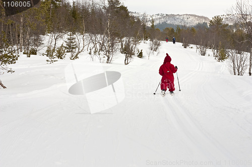 Image of People skiing