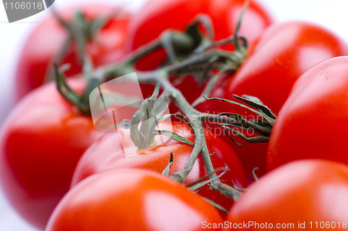 Image of Red tomatoes