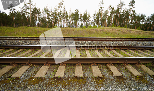 Image of Railroad tracks