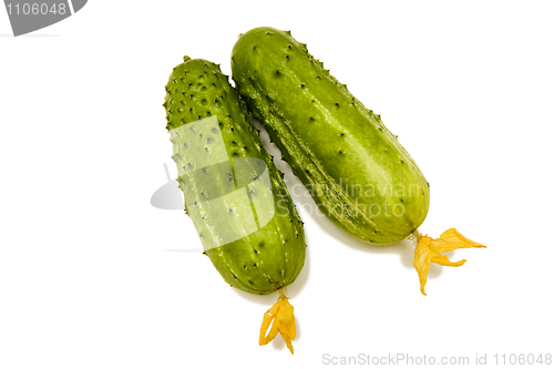 Image of two cucumbers