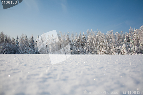 Image of Snow