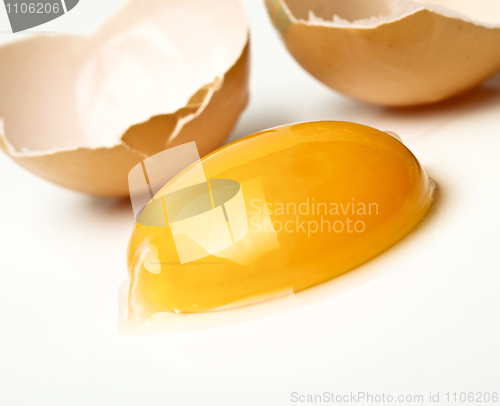 Image of egg background