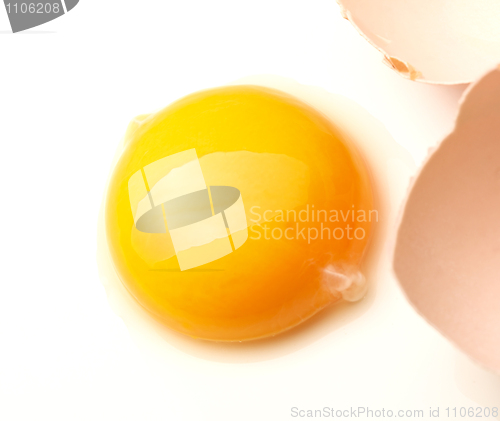 Image of closeup image of egg