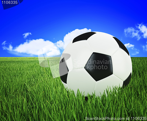 Image of soccer ball on green grass