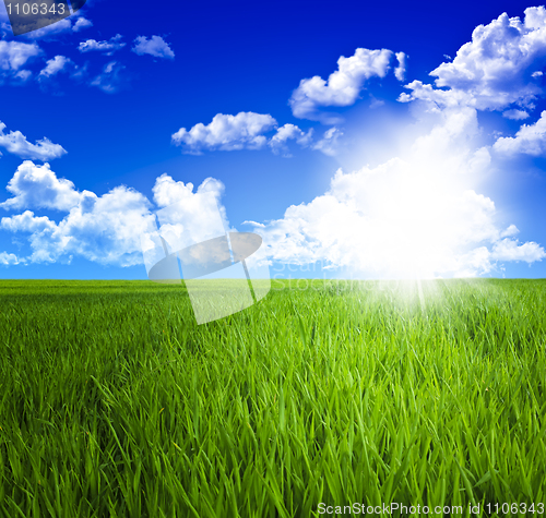 Image of green grass field and sky