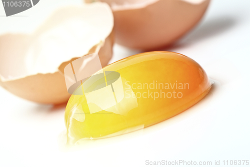 Image of egg background