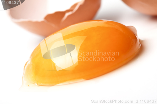 Image of egg background