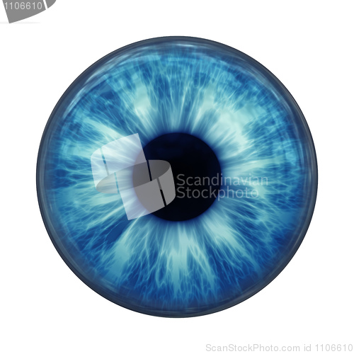 Image of blue eye