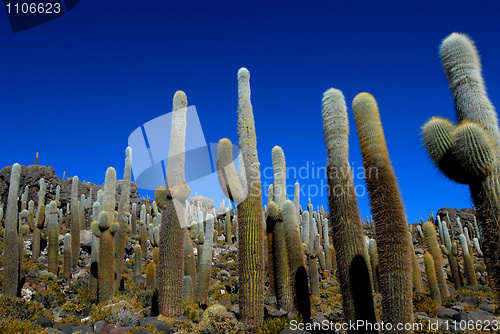 Image of Bolivia