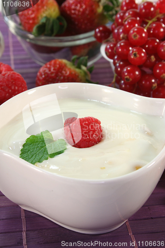 Image of Yogurt