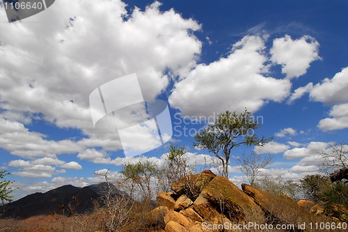 Image of Kenya