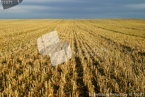 Image of Stubble Hay Field