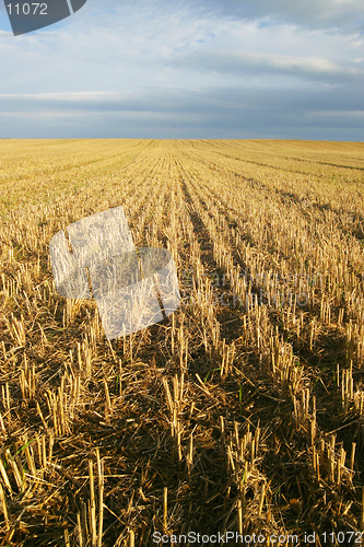 Image of Agriculture