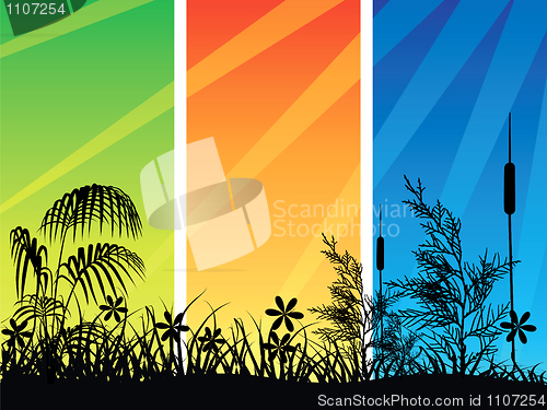 Image of Grass silhouette on meadow