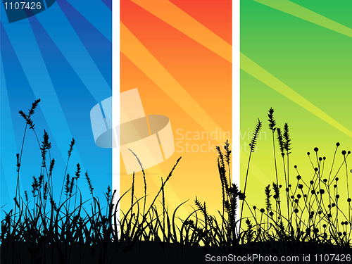 Image of Grass silhouette on meadow