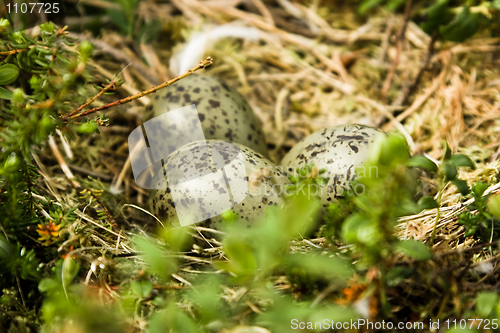 Image of Three eggs