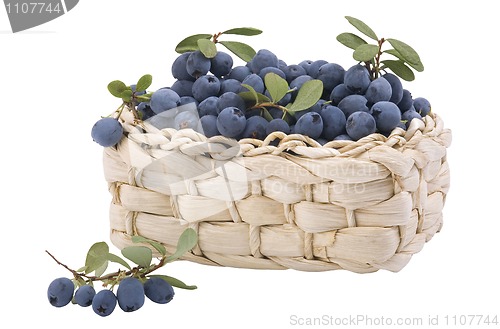 Image of small basket, full of fresh blueberries