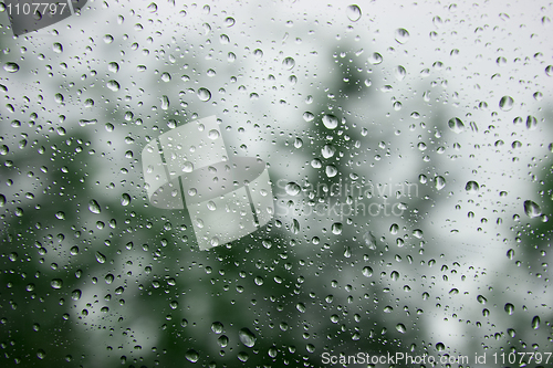 Image of rain drops