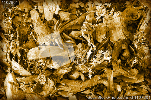 Image of Brown background